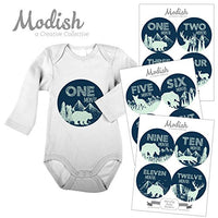 Modish Labels, 12 Monthly Baby Stickers, Baby Month Stickers, Woodland, Bear, Fox, Deer, Forest, Navy Blue, Mint, Baby Book Keepsake, Photo Prop, Baby Shower Gift