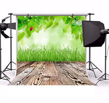 Load image into Gallery viewer, AOFOTO 10x10ft Spring Budding Branch Backdrop Bokeh Haloes Aged Wooden Plank Floor Photography Background Newborn Children Adults Portraits Shooting Vacation Holiday Vinyl Photo Booth Prop
