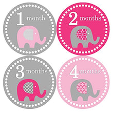 Load image into Gallery viewer, Months in Motion Baby Monthly Stickers - Baby Milestone Stickers - Newborn Girl Stickers - Month Stickers for Baby Girl - Baby Girl Stickers - Newborn Monthly Milestone Sticker (Style 246)

