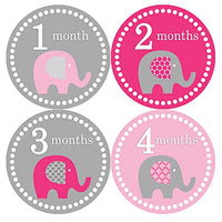 Months in Motion Baby Monthly Stickers - Baby Milestone Stickers - Newborn Girl Stickers - Month Stickers for Baby Girl - Baby Girl Stickers - Newborn Monthly Milestone Sticker (Style 246)