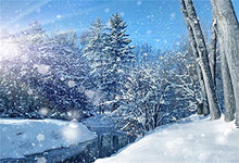 Load image into Gallery viewer, Laeacco Winter Snowscape Backdrop 10x8&#39; Vinyl Sunshine Frosty Pine Trees Snowy Forest River Haloes Scene Photography Background Winter Scenic Backdrop Kids Baby Shoot Poster Indoor Decors Wallpeper
