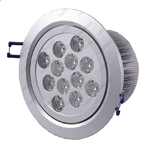 BRILLRAYDO 12W Dimmable LED Ceiling Light Fixture Bulb Flush Mounting Cabinet