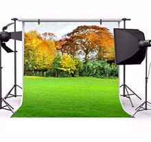 Load image into Gallery viewer, AOFOTO 10x10ft Forest Park Background Green Yellow Trees Grass Field Changes of Season Backdrop for Photography Picnic Family Gathering Spring Outing Kids Adults Portraits Shooting Photo Studio Prop
