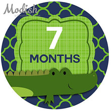 Load image into Gallery viewer, 12 Monthly Baby Stickers, Woodland Baby Month Stickers, Alligators, Baby Belly Stickers, Woodland Baby Month Stickers, First Year Stickers, Gator, Navy Blue, Green, Baby Boy
