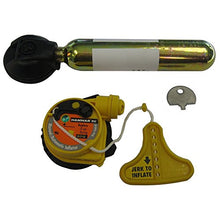 Load image into Gallery viewer, Mustang Hydrostatic Inflator Rearming Kit
