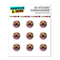 Graphics and More Fawn Pit Bull Face - Pitbull Dog Pet Home Button Stickers Fits Apple iPhone 4/4S/5/5C/5S, iPad, iPod Touch - Non-Retail Packaging - Clear