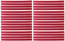 Load image into Gallery viewer, 32-Pack Replacement VPI Strips Velvet/Felt 3M Adhesive Okki Nokki + VPi Machine LP Vinyl Record Album Cleaning Strip Set (Quantity of 32) / Cleaner Records (Red)
