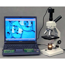 Load image into Gallery viewer, AmScope D120C-MS Dual-View Compound Monocular Microscope, WF10x and WF25x Objectives, 40X-2500X Magnification, Brightfield, 1.25 NA Abbe Condenser, Mechanical Stage
