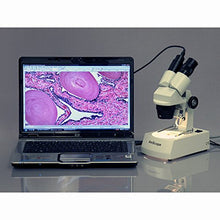 Load image into Gallery viewer, AmScope SE306-A-E Digital Binocular Stereo Microscope, WF10x Eyepieces, 20X and 40X Magnification, 2X and 4X Objectives, Upper and Lower Halogen Lighting, Reversible Black/White Stage Plate, Arm Stand
