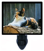 Load image into Gallery viewer, Cat Night Light, Calico Cat LED Night Light
