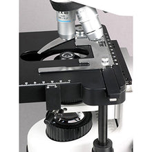Load image into Gallery viewer, AmScope B660C Siedentopf Binocular Compound Microscope, 40X-2500X Magnification, WH10x and WH25x Super-Widefield Eyepieces, Semi-Plan Objectives, Brightfield, Kohler Condenser, Double-Layer Mechanical

