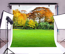 Load image into Gallery viewer, AOFOTO 10x10ft Forest Park Background Green Yellow Trees Grass Field Changes of Season Backdrop for Photography Picnic Family Gathering Spring Outing Kids Adults Portraits Shooting Photo Studio Prop
