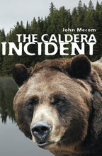 Load image into Gallery viewer, The Caldera Incident
