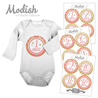 Modish Labels 12 Monthly Baby Stickers, Baby Girl, Pink Gold, Baby Shower Gift, Photo Prop, Baby Book Keepsake