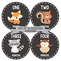 Months In Motion Gender Neutral Baby Month Stickers - Monthly Milestone Sticker for Boy or Girl - Infant Photo Prop for First Year - Shower Gift - Newborn Keepsakes - Unisex - Woodland Animals