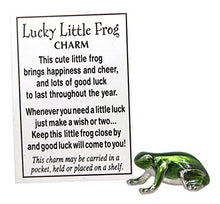 Load image into Gallery viewer, Ganz Lucky Little Frog Charm with Story Card!
