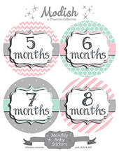 Load image into Gallery viewer, 12 Monthly Baby Stickers, Pink, Gray, Mint, Girl, Baby Belly Stickers, Baby Month Stickers, First Year Stickers Months 1-12, Pink, Gray, Mint, Baby Girl
