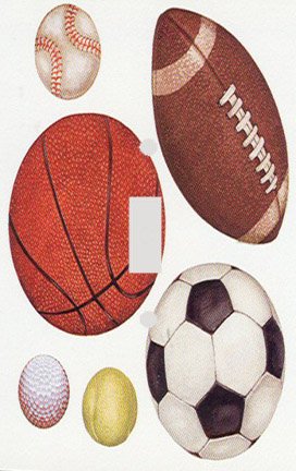 Sports Balls Switchplate - Switch Plate Cover