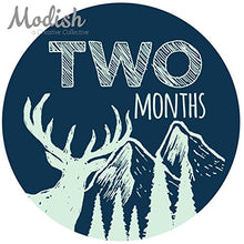Load image into Gallery viewer, Modish Labels, 12 Monthly Baby Stickers, Baby Month Stickers, Woodland, Bear, Fox, Deer, Forest, Navy Blue, Mint, Baby Book Keepsake, Photo Prop, Baby Shower Gift
