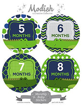 Load image into Gallery viewer, 12 Monthly Baby Stickers, Woodland Baby Month Stickers, Alligators, Baby Belly Stickers, Woodland Baby Month Stickers, First Year Stickers, Gator, Navy Blue, Green, Baby Boy

