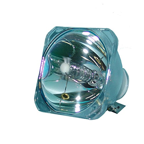 SpArc Bronze for Acer EC.J1202.001 Projector Lamp (Bulb Only)