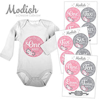 12 Monthly Baby Stickers, Pink & Gray, Flowers, Girl, Baby Belly Stickers, Baby Month Stickers, First Year Stickers Months 1-12, Pink, Grey, Baby Girl