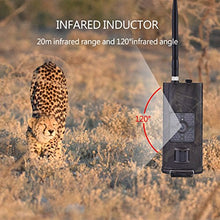 Load image into Gallery viewer, Trail Camera, Outdoor Waterproof Infrared Night Vision Hunting Camera Video Scouting Game Wildlife Cam 1080P HD Hunting Equipment and Supplies
