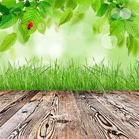 AOFOTO 10x10ft Spring Budding Branch Backdrop Bokeh Haloes Aged Wooden Plank Floor Photography Background Newborn Children Adults Portraits Shooting Vacation Holiday Vinyl Photo Booth Prop