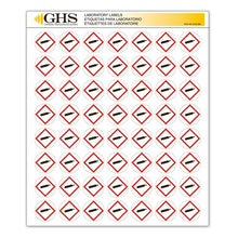 Load image into Gallery viewer, GHS/HazCom 2012: Hazard Class Pictogram Label, Gas Cylinder, 1&quot; each (Pack of 1120)
