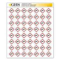 GHS/HazCom 2012: Hazard Class Pictogram Label, Gas Cylinder, 1