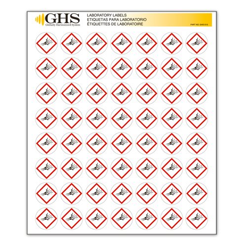 GHS/HazCom 2012: Hazard Class Pictogram Label, Exploding Bomb, 1