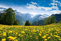 Baocicco 10x6.5ft Yellow Dandelions Between Spring Mountains View Background Wedding Photography Backdrops Clear Blue Sky White Clouds Nature Landscape Vacation Decor Studio Prop